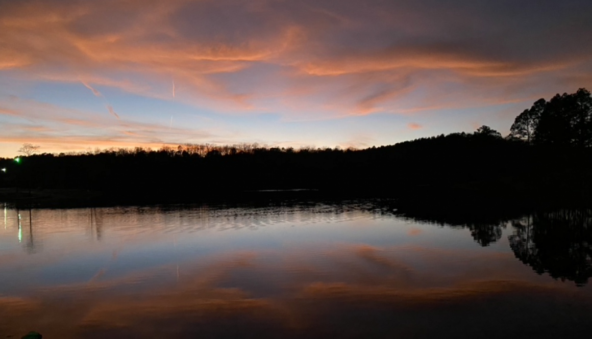 Lake Lurleen State Park: WiFi & Wildflowers
