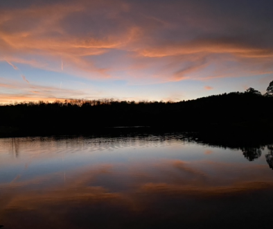 Lake Lurleen State Park: WiFi & Wildflowers